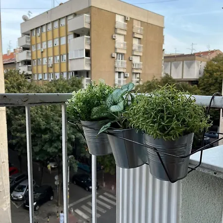 Apartment Sanja, Old Town *